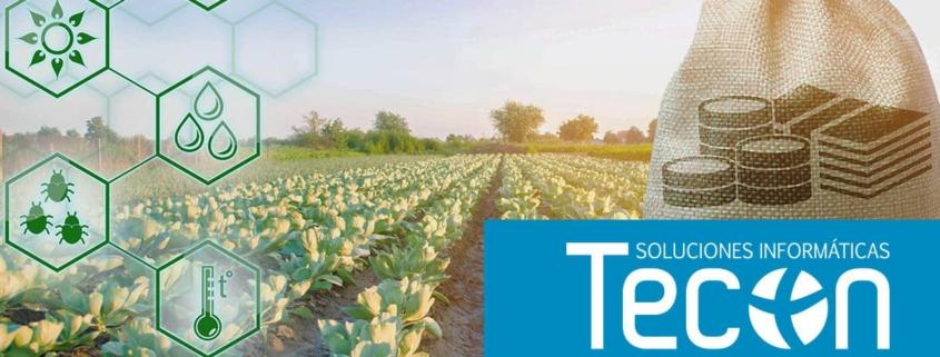 FOCAL 2021: Ayudas para fomentar la calidad agroalimentaria en Castilla-La Mancha