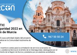 Cheque TIC ciberseguridad Murcia